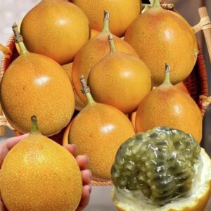 Ecuador Passionfruits