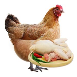 Old Fowl