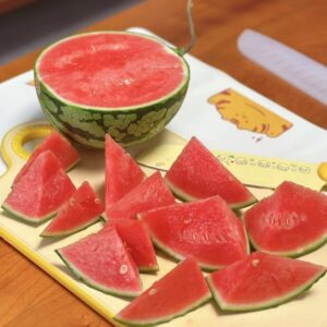 Malaysia Glasshouse Culture Watermelon