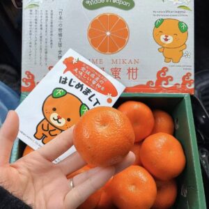 Japan Ehime Mikan Giftbox