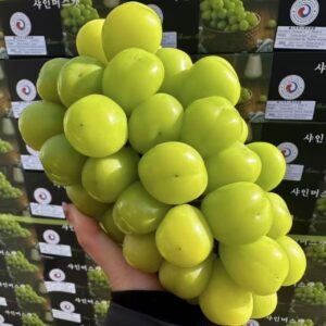 Premium Korea Shine Muscat 3 Bundles